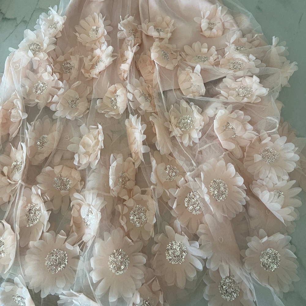 HELSI Exclusive Audrey 3D Floral Midi Dress - Size Small - Picture 5 of 7